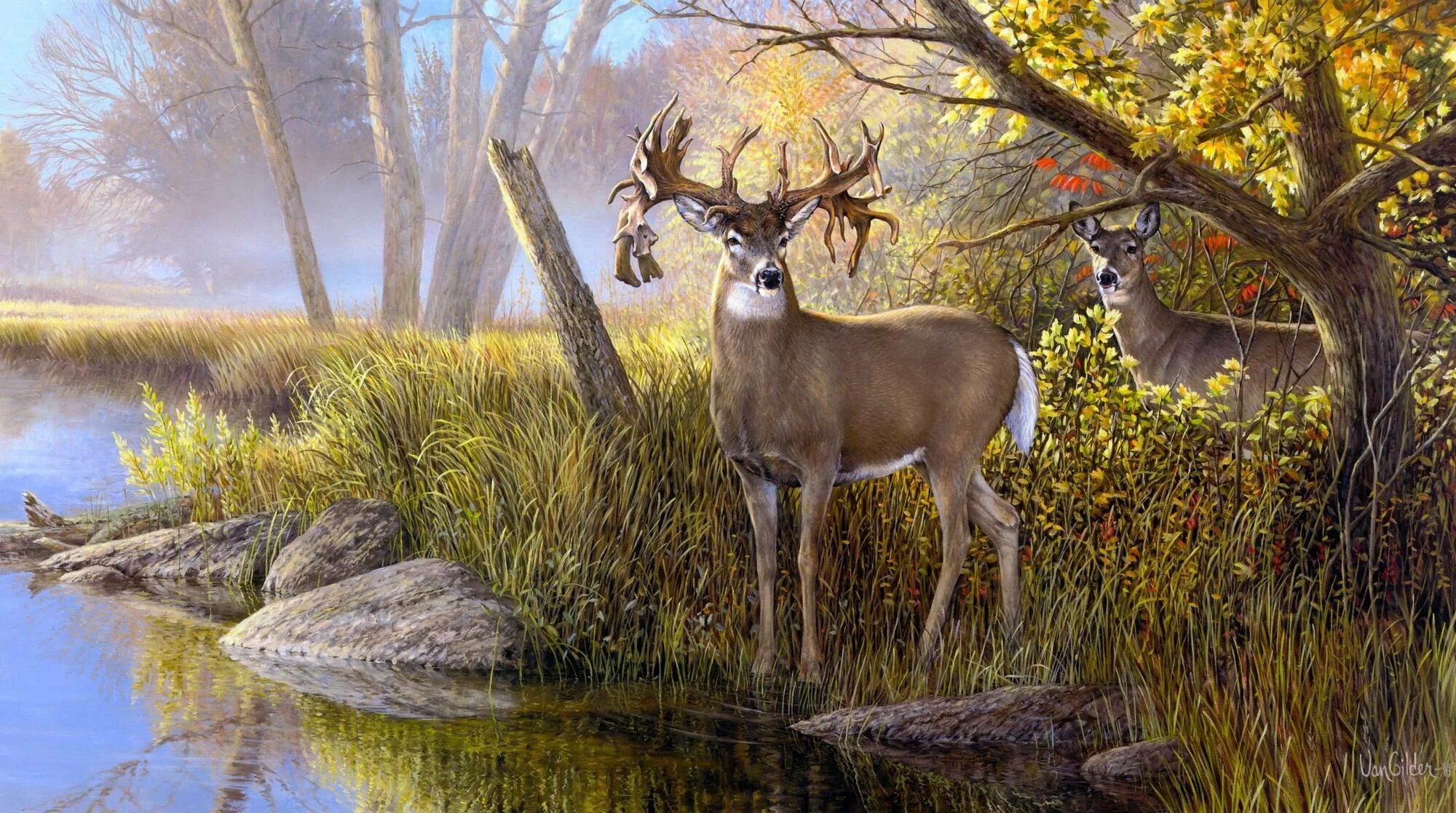 пейзажи с оленями живопись. Van deer. картины. живопись природа. дастин ван вечел художник картины.
