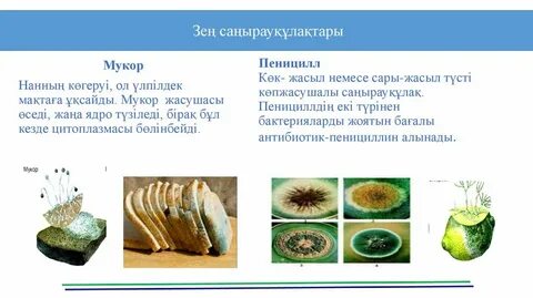 Жұлқылау және сауу