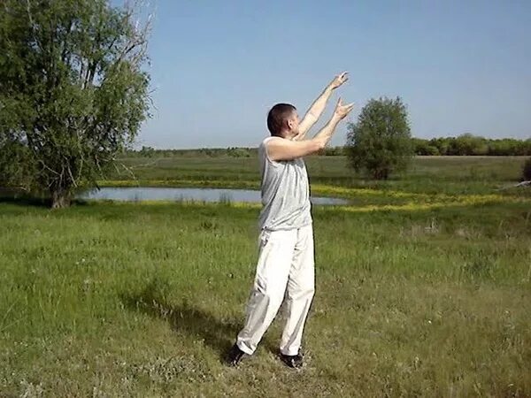 Спиральная гимнастика видео. Спиральная гимнастика с еленой ивановой. Спиральная гимнастика пак чже ву. Пак чжэ ву триначальная спиральная гимнастика. Пак чжэ ву триначальная спиральная гимнастика.