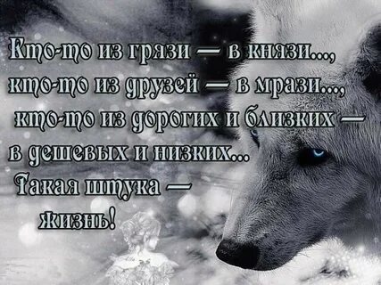 Красивые высказывания о жизни для статуса