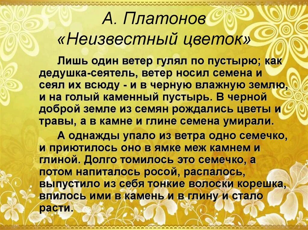 Платонов а. "неизвестный цветок". Цветок из произведения неизвестный цветок Платонов. Сказка неизвестный цветок текст.