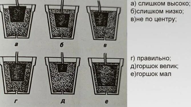 Как подобрать размер горшка. Горшок для пересадки растений. Как правильно пересадить цветок в другой горшок. Горшок по размеру корневой. Как пересадить цветок в другой горшок с дренажом.