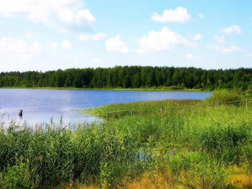 Озеро заозерье новгородская область. Заозерье новгородская область. Озеро заозерье новгородская область. Заозерье новгородская область. Озеро льняное в окуловском районе.