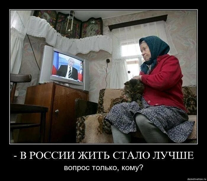 Бедные несчастные цитаты