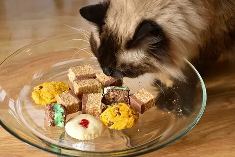 Кошачий рецепт