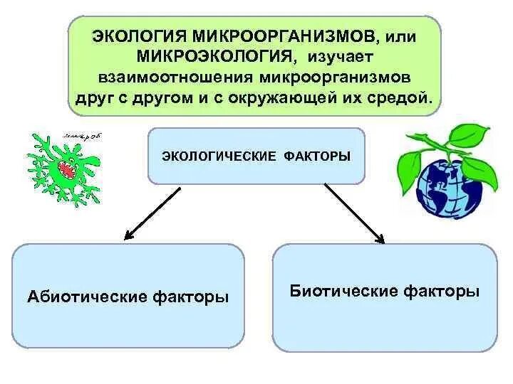 Экология бактерии. Экология микроорганизмов. Понятие об экологии микроорганизмов. Экология микроорганизмов кратко. Экология микроорганизмов микробиология.