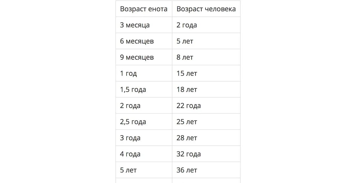 Возраст енота по человеческим меркам. Как определить Возраст енота. Возрастная таблица енотов. Возраст енота по человеческим меркам таблица. Возраст человека 41 год