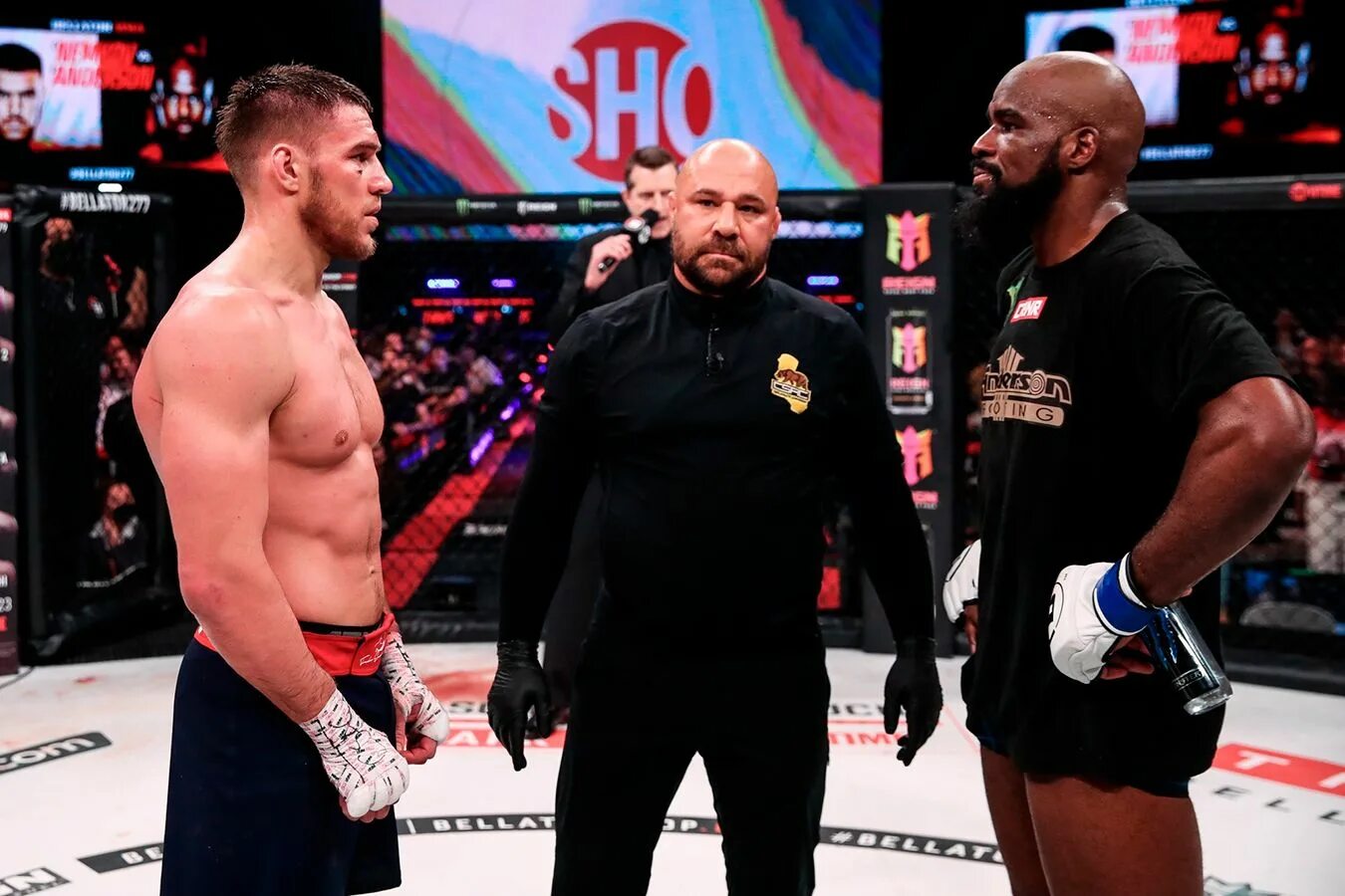 Бой немкова. Немков андерсон. Бой немкова. Немков чемпион bellator. Немков кори андерсон.