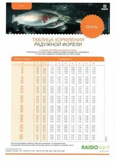 Какой размер форели