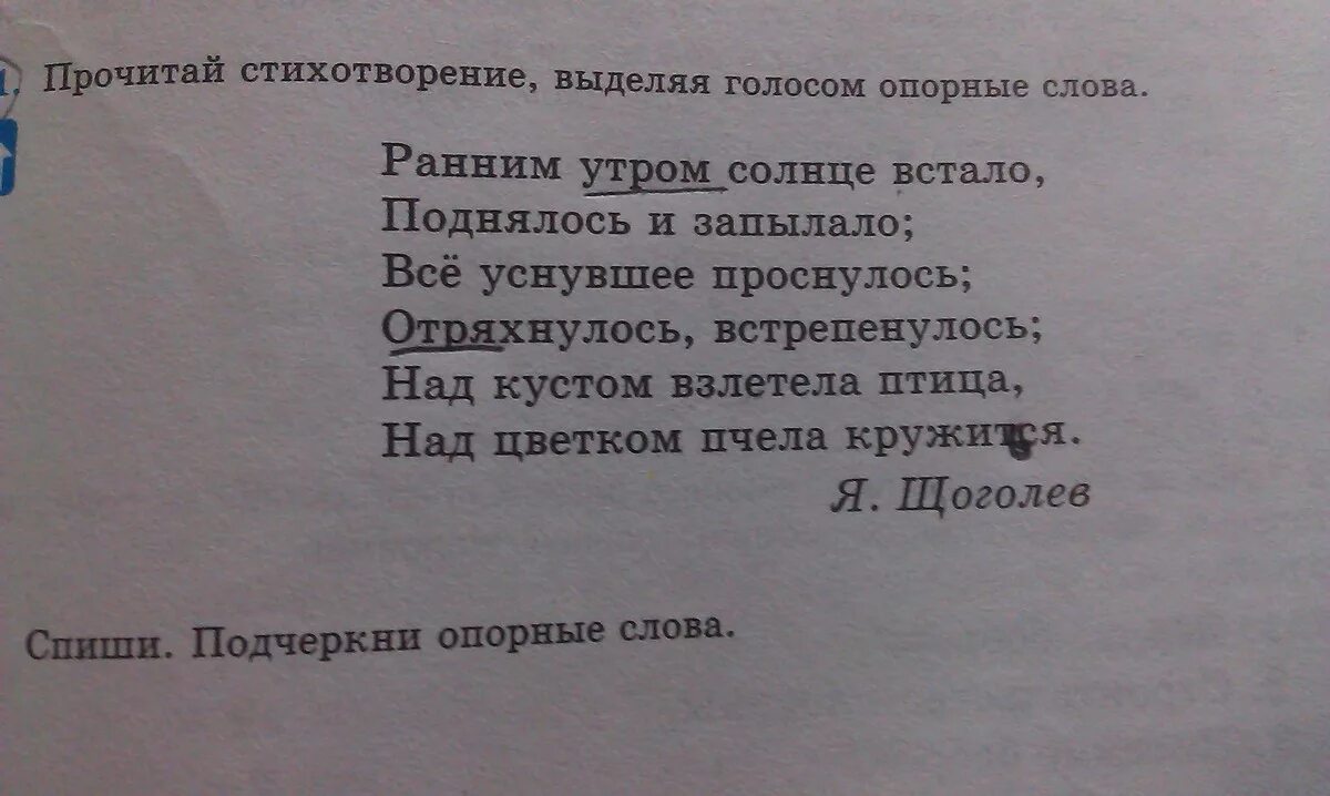 Прочитай стихотворение михаила. Опорные слова в стихотворении. Стихотворение ранним утром солнце встало. Стихотворение по опорным словам. Стих рано утром.