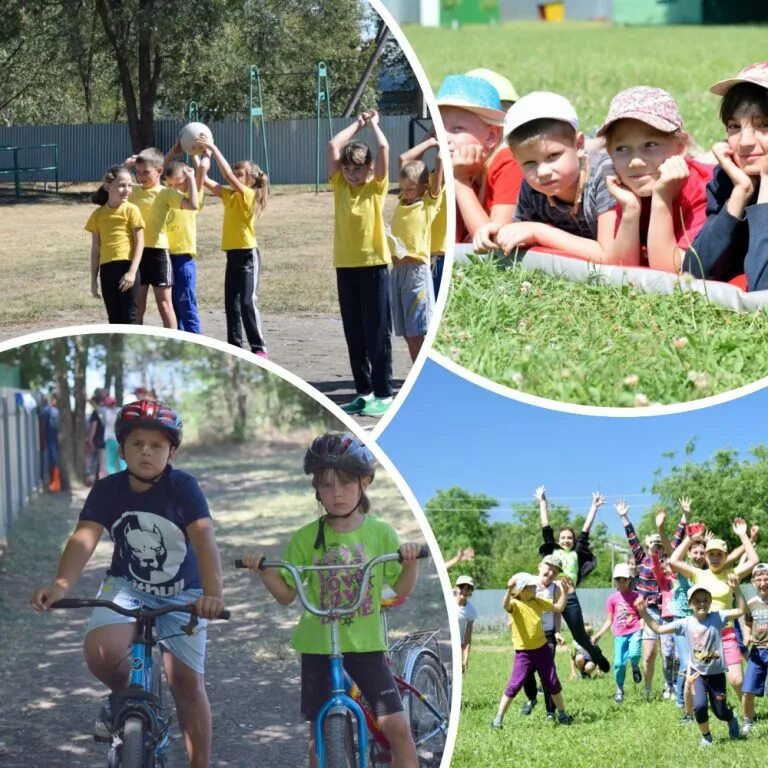 Анализ лдп что это. Лдп в школе. Лдп в школе. Школьный лдп. Картинки лдп.