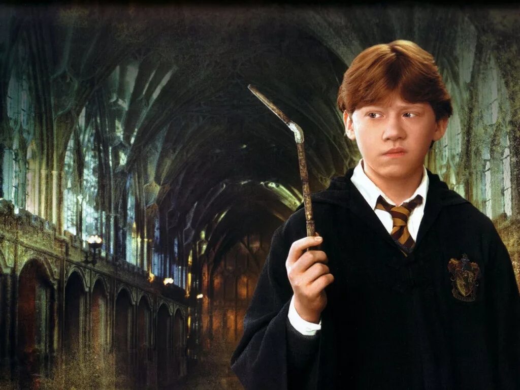 Harry potter sonic