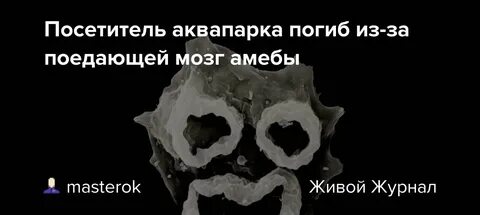 Амеба которая съест мозг