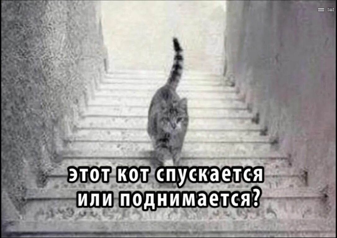 See you going down