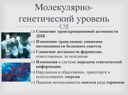 Какие процессы на молекулярном уровне
