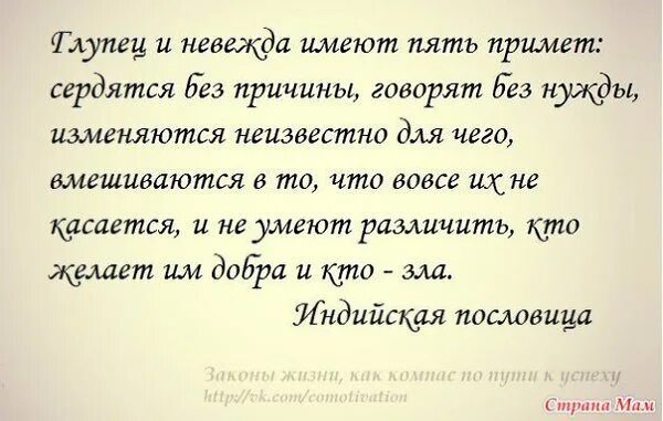 Слово вкусил. Цитаты про невежд. Фразы невежды. Пословица невежда враг самому себе. Стихотворение про невежду.