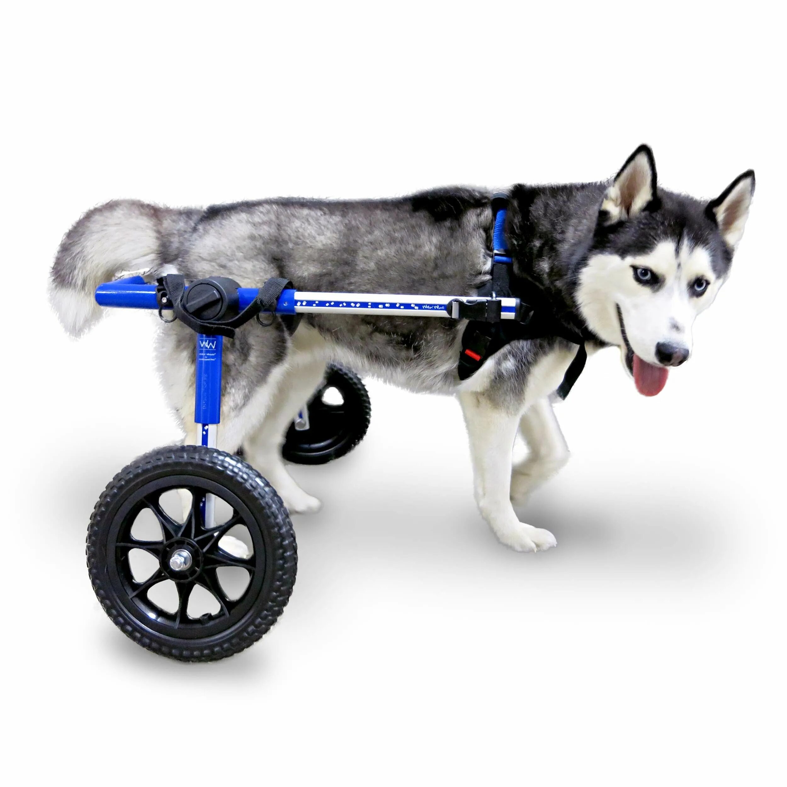 Коляска Walkin Wheels. Инвалидные коляски Dog wheelchairs. Коляска для собак инвалидов. Тележка для собаки инвалида.