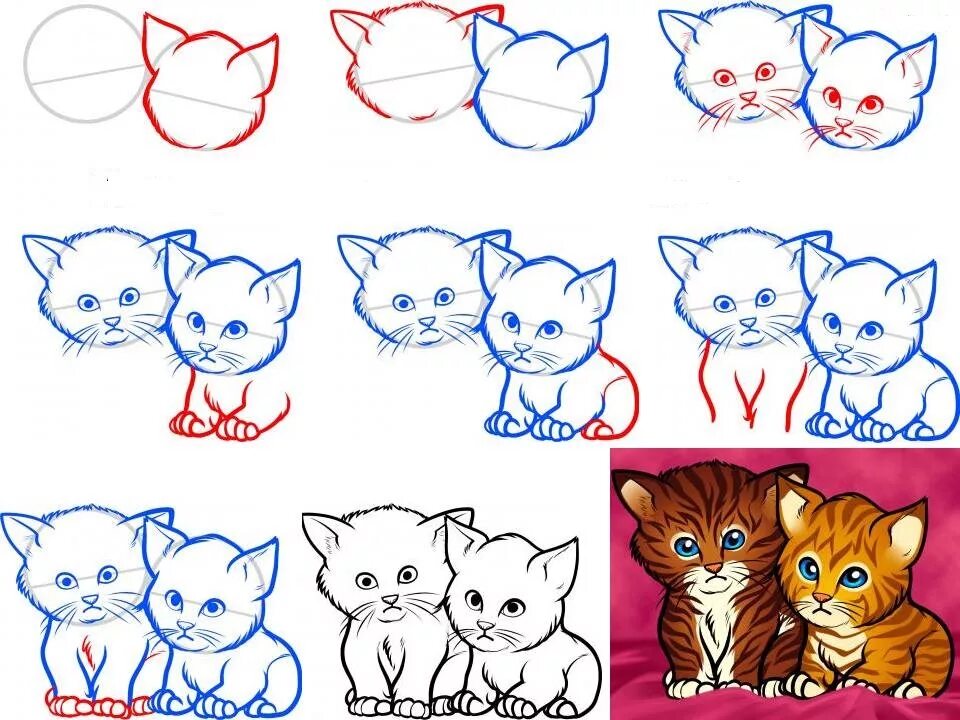 Покажи картинку где рисовать. Котенок рисунок. Рисунки котиков. Поэтапный рисунок кошки. Поэтапное рисование котенка для детей.