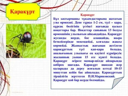 Орынбордағы Дубрава жатақханасындағы жалаңаш қыздардың суреттері