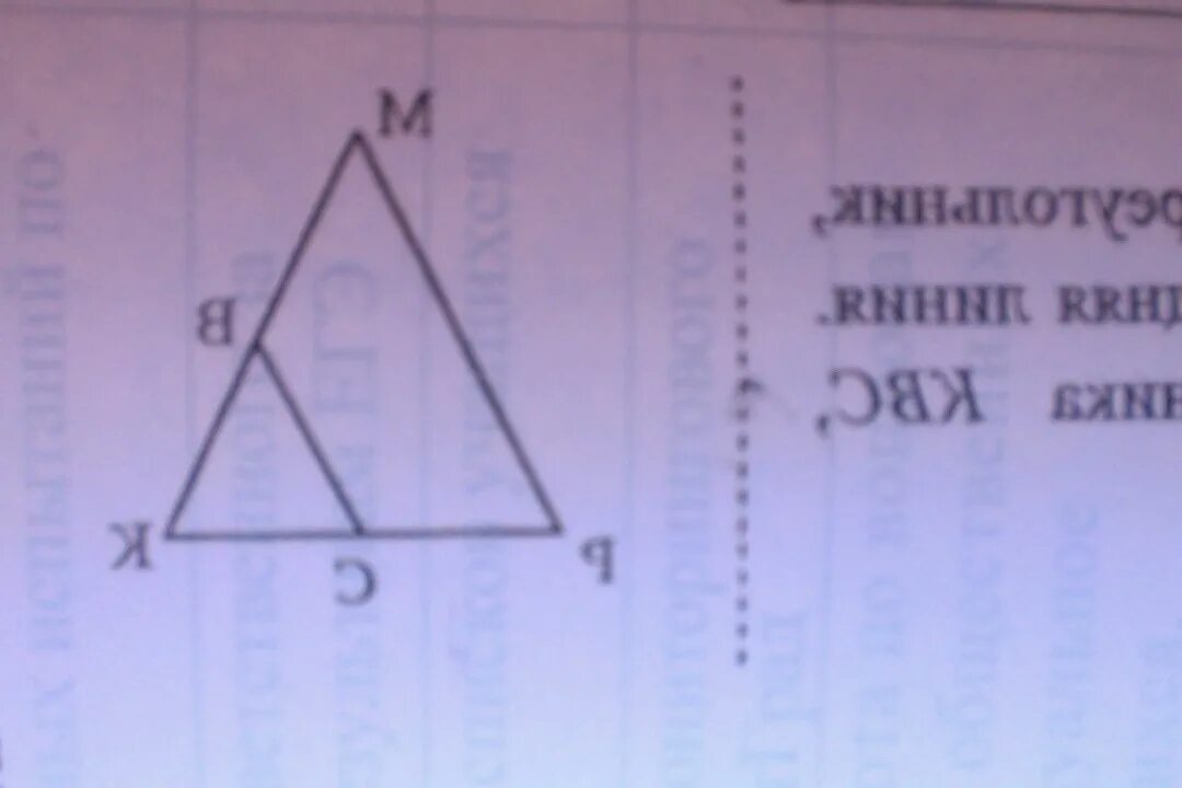 Треугольник MPK равнобедренный с основанием MP прямая.