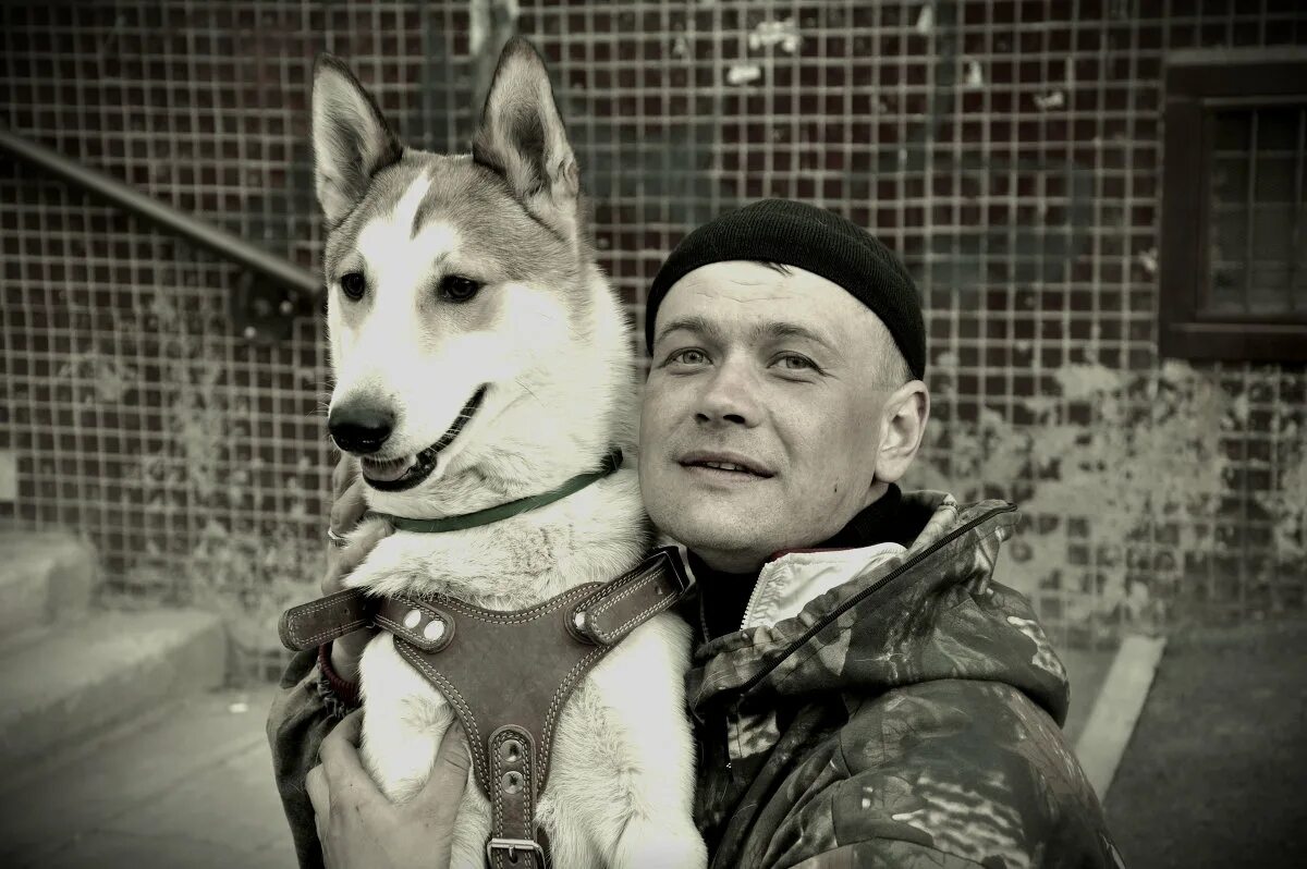 Верный друг ярославль. Городской конкурс верный друг. Лозунг для приюта животных. Немецкая овчарка с короткими лапами. Груминг в 4 лапы.