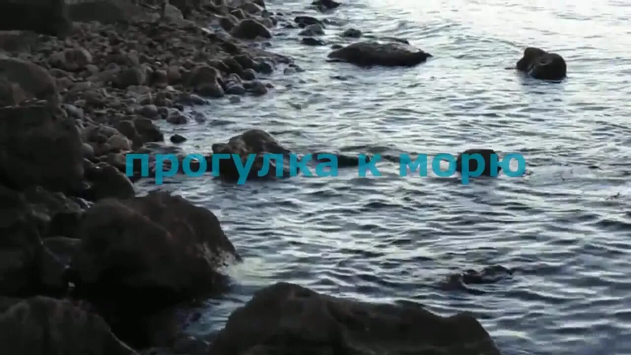 морят видео