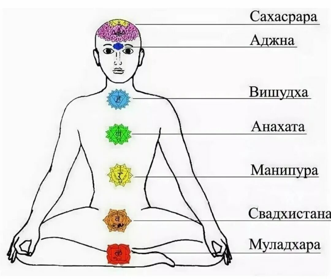 Муладхара Свадхистана Манипура Анахата Вишудха Аджна Сахасрара. Энергетические центры человека схема расположения. Чакры человека схема. Чакры схема расположения. Чакры названия и расположение