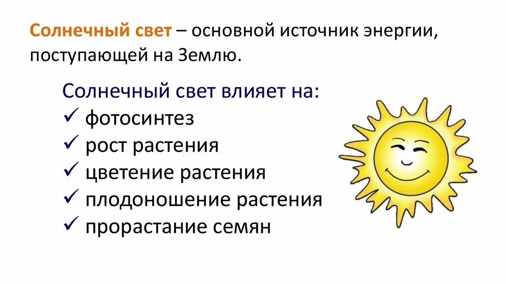 Влияние солнца на растения. Влияние солнечного света на растения. Влияние солнечных лучей на растения. Как солнце влияет на растения. Солнечный свет является источником