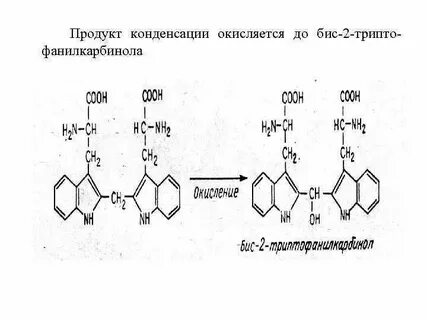 Реагент белка