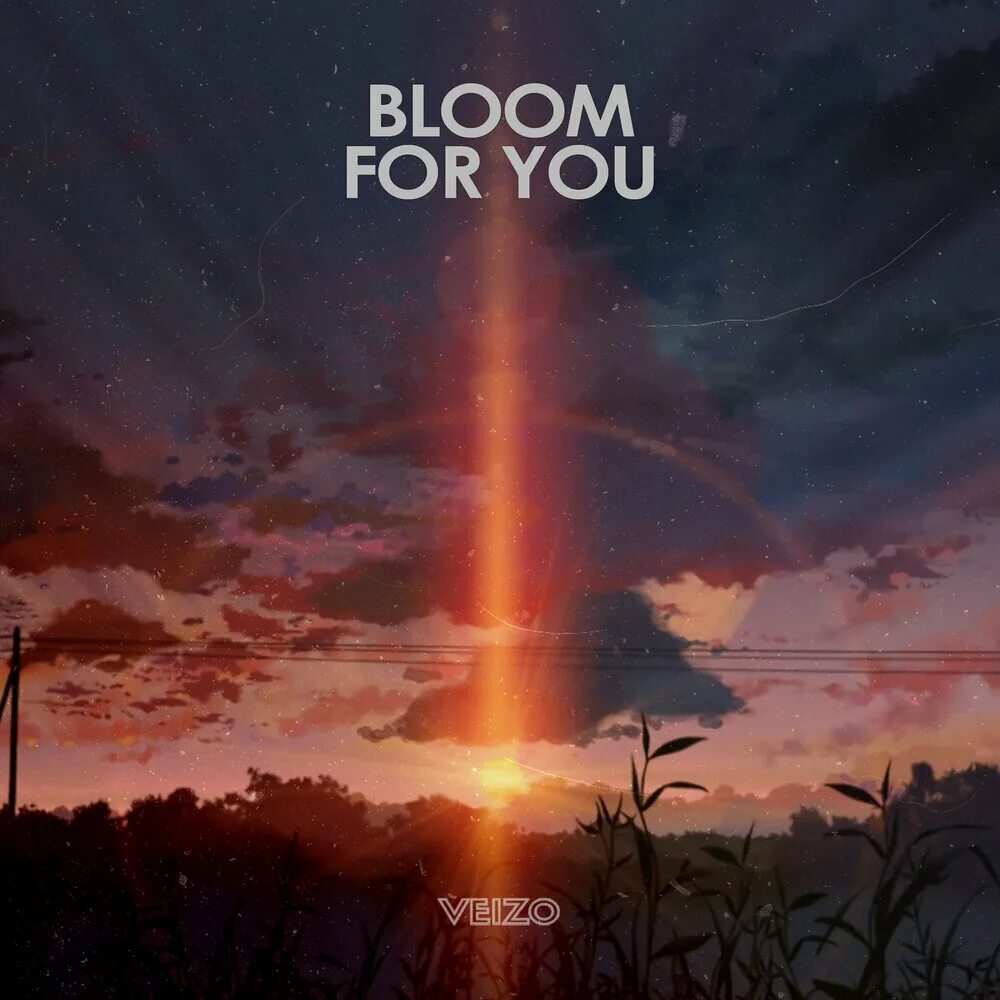 Let in bloom. Let in bloom
