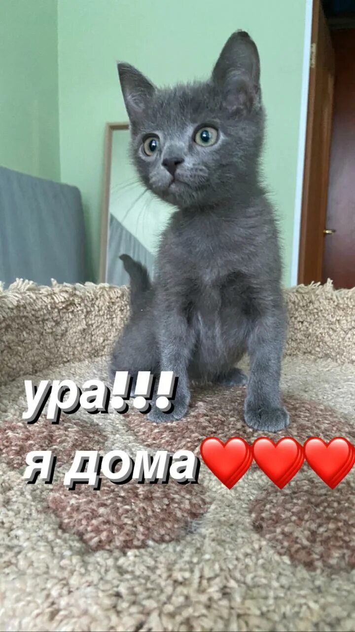 Открытка дома лучше. Картинка ура дома. Я дома. Открытки ура я дома. Открытки ура я дома.