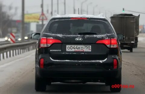 Бесплатные 44 номера