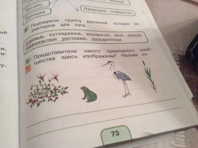 Сообщество обитающих совместно организмов разных видов вместе. Природные сообщества растений. Проверочная работа по разделу «природные сообщества – водоем».. Цепь питания в сообществе водоема 3 класс рабочая тетрадь.