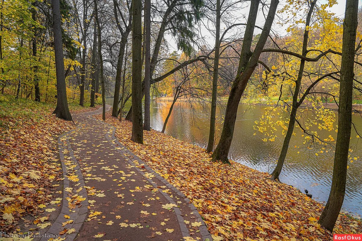 Октябрь. Парк Царицыно осень. Парк Царицыно осенью. Царицыно парк Москва осенний. Пруд Царицыно октябрь.