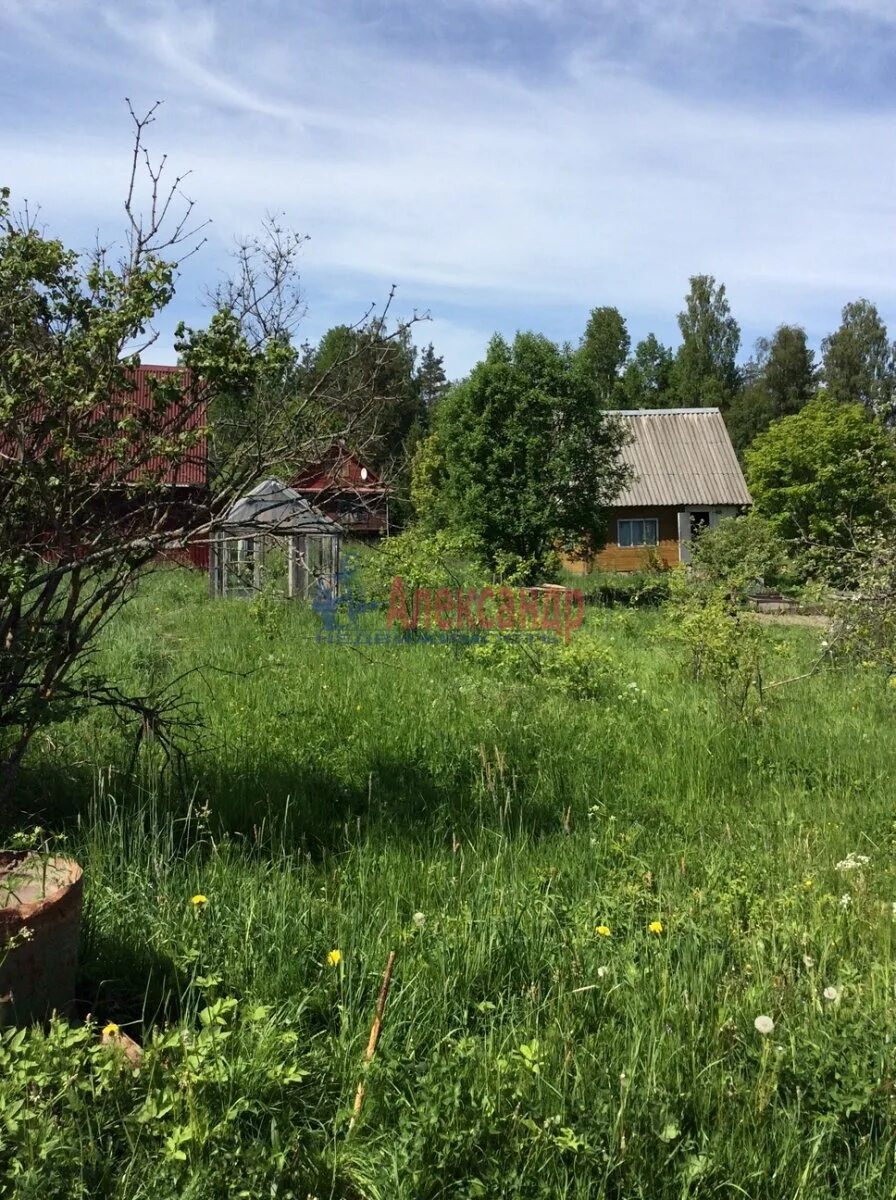 Погода боровое приозерский