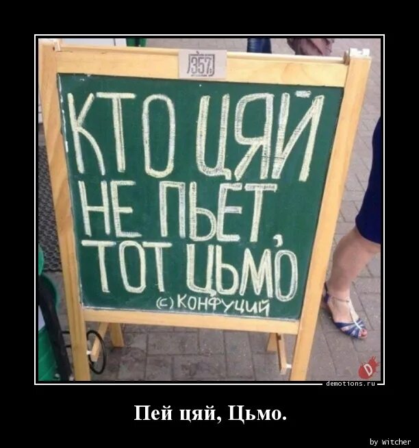 кто не пьет цяй. мем конфуций гифка. кто не пьет чай. кто чай не пьет тот цмо. конфуций выпивал.
