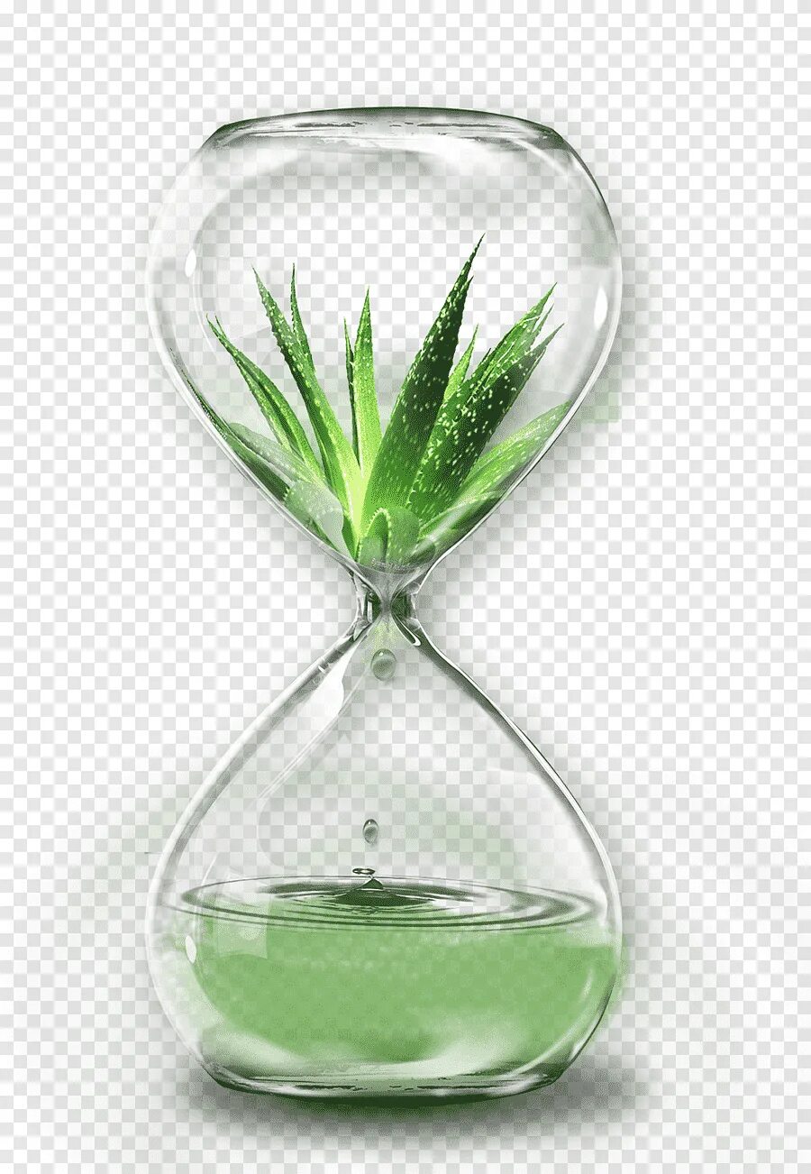 Час алоэ. Песочные часы зеленые. Вода алоэ. Прозрачны алоэ.