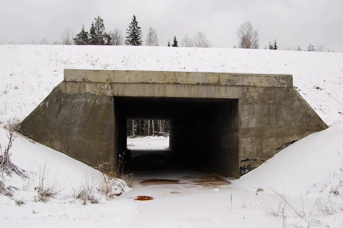 Павлово на неве. Павлово на неве ленинградская область озеро. Новости погоды павлово на неве. Церковь сергия радонежского в павлово-на-неве. Новости погоды павлово на неве.