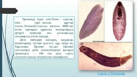 Анам куннилингусты және порно көргенді жақсы көреді