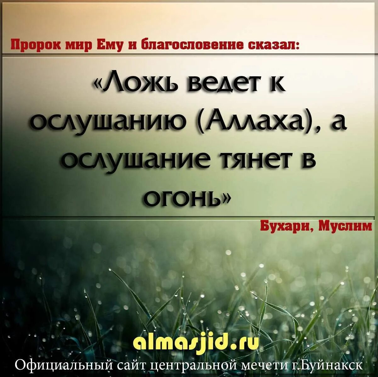 Со враньем. Высказывания про обман. Цитаты про ложь. Афоризмы про ложь. Цитаты про ложь и обман.