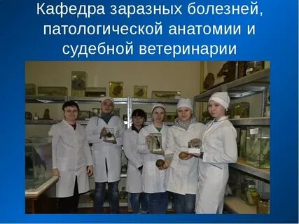Анатомия ростгму