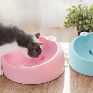 Лучшая автопоилка для кошек