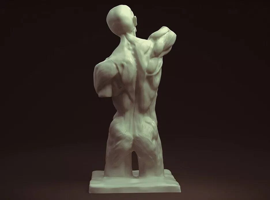 Гипсовые скульптуры. Статуя давида бюст. Модели скульптора. Давид гипсовая голова скульптура. Венера милосская 3d.