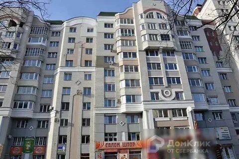 Ромашина брянск
