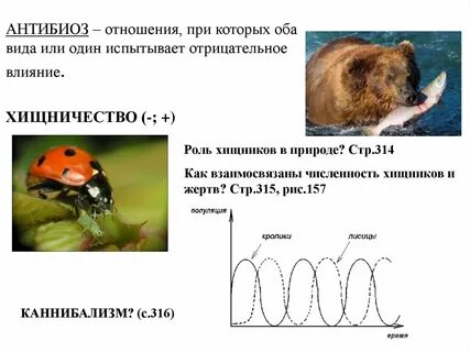 Какая роль хищников в природе
