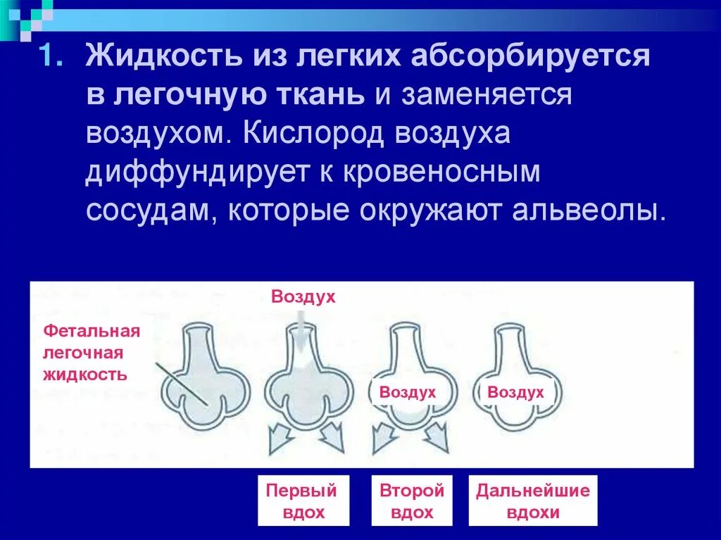 Жидкость в легком причины. Причины образования жидкости в легких. Жидкость в лёгких симптомы. Много воды в легких