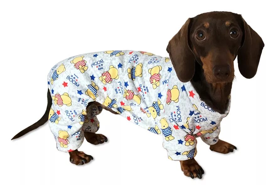 Одежда для таксы. Куртка для таксы. Formydogs комбинезон для такс. Одежда для такс ип радченко. Одежда для такс ип радченко.