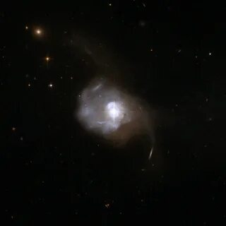 Квазар кот