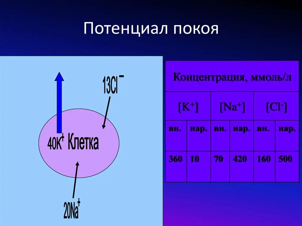 Потенциал покоя клетки. Мембранный потенциал покоя. Причины потенциала покоя. Характеристика потенциала покоя.