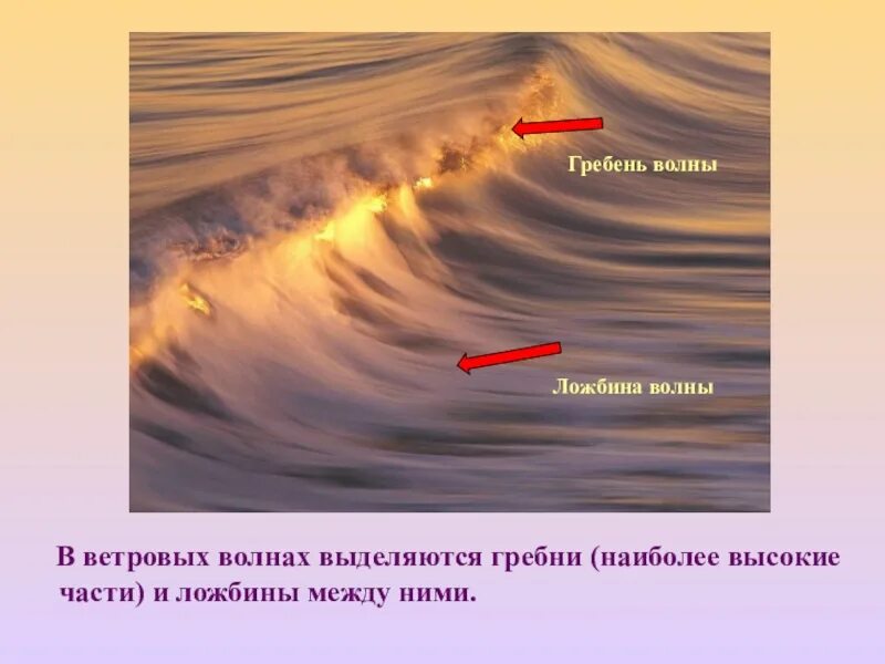 Гребень волны подошва волны. Строение волны. Элементы ветровой волны. Строение ветровой волны. Строение ветряной волны.